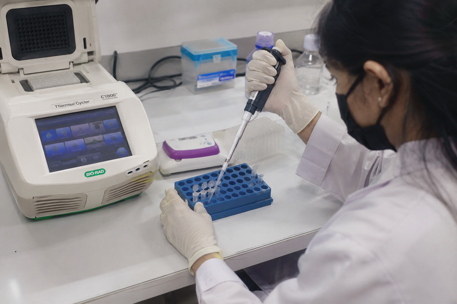 Conventional PCR Analysis