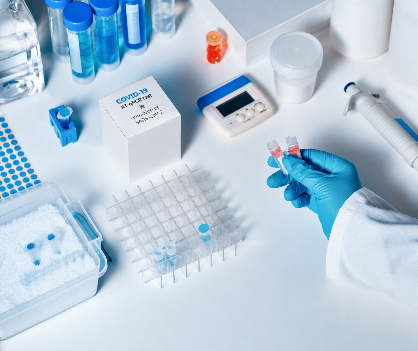 Quantitative Real-time PCR