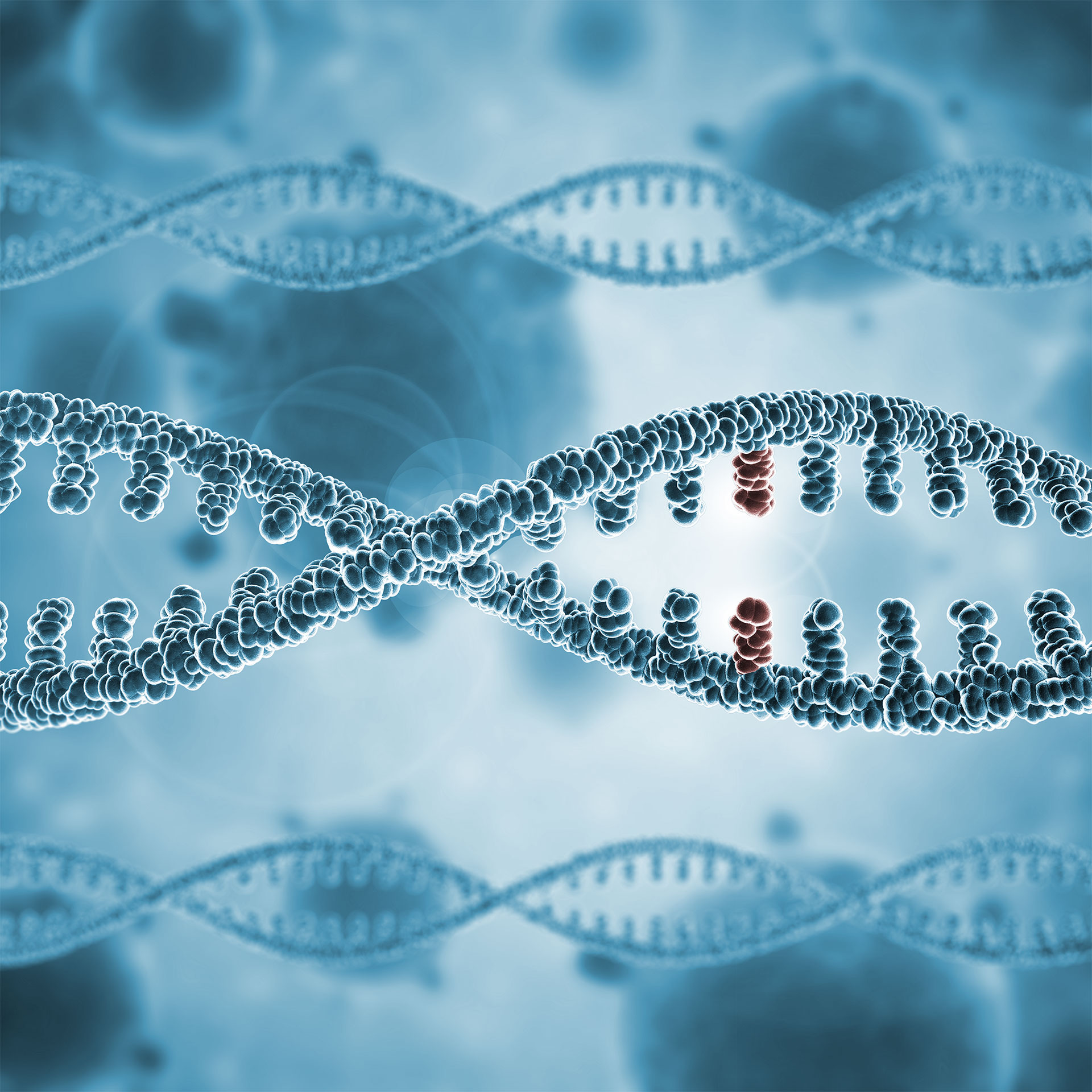 SNP Mutation & Variant Screening